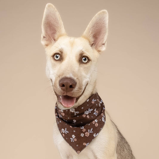 Hazel Dog Bandana