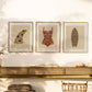Surf Garden 3 | Surfboard Print