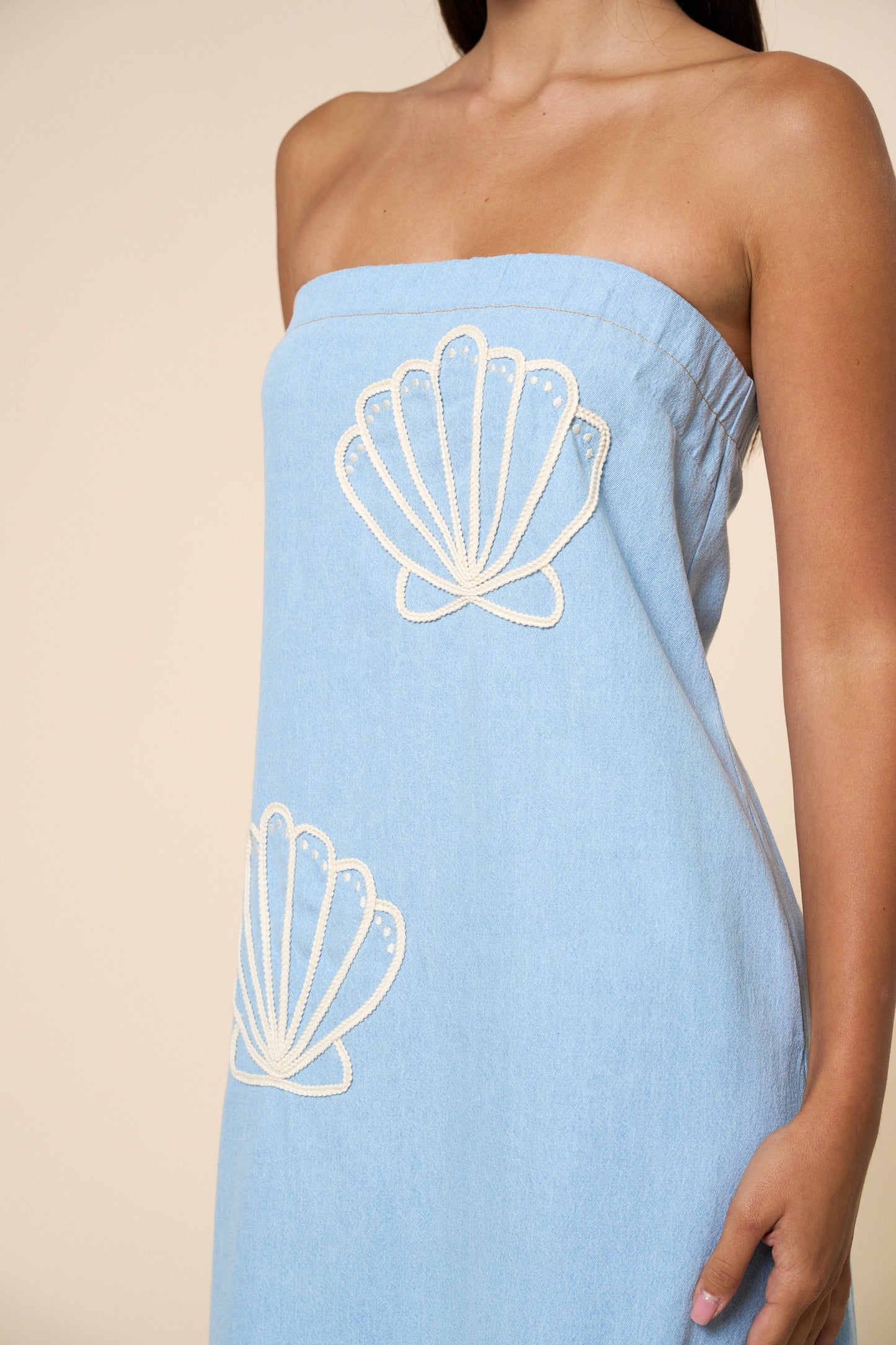Cove Embroidered Tube Maxi Dress