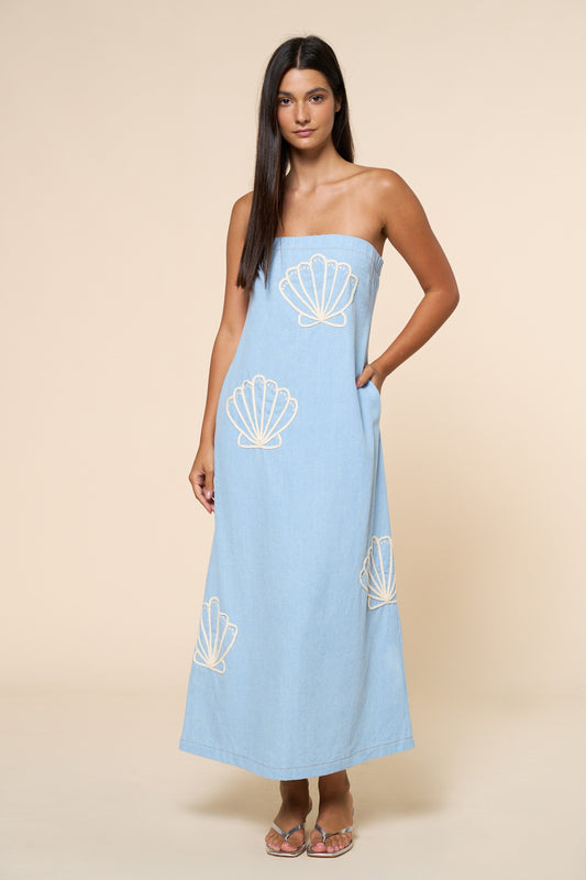 Cove Embroidered Tube Maxi Dress