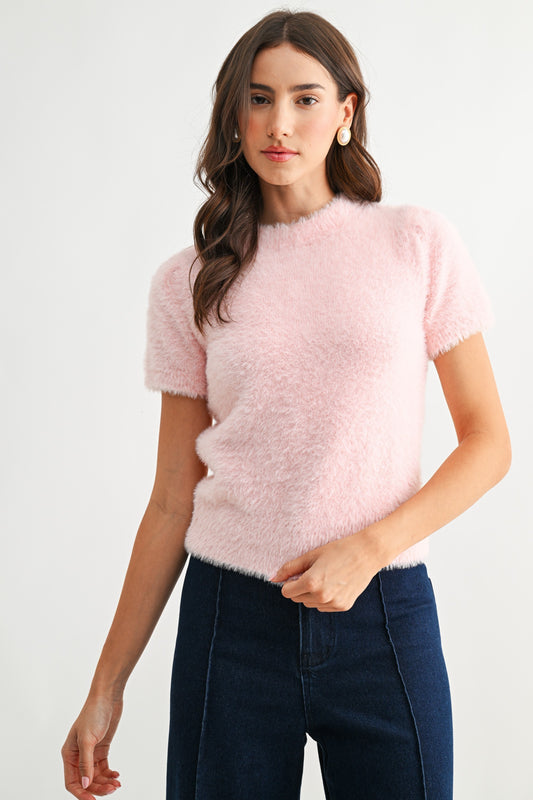 Frances Fuzzy Knit Short Sleeve Sweater Top