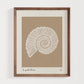 Sea Spiral | Seashell Art Print