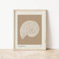 Sea Spiral | Seashell Art Print