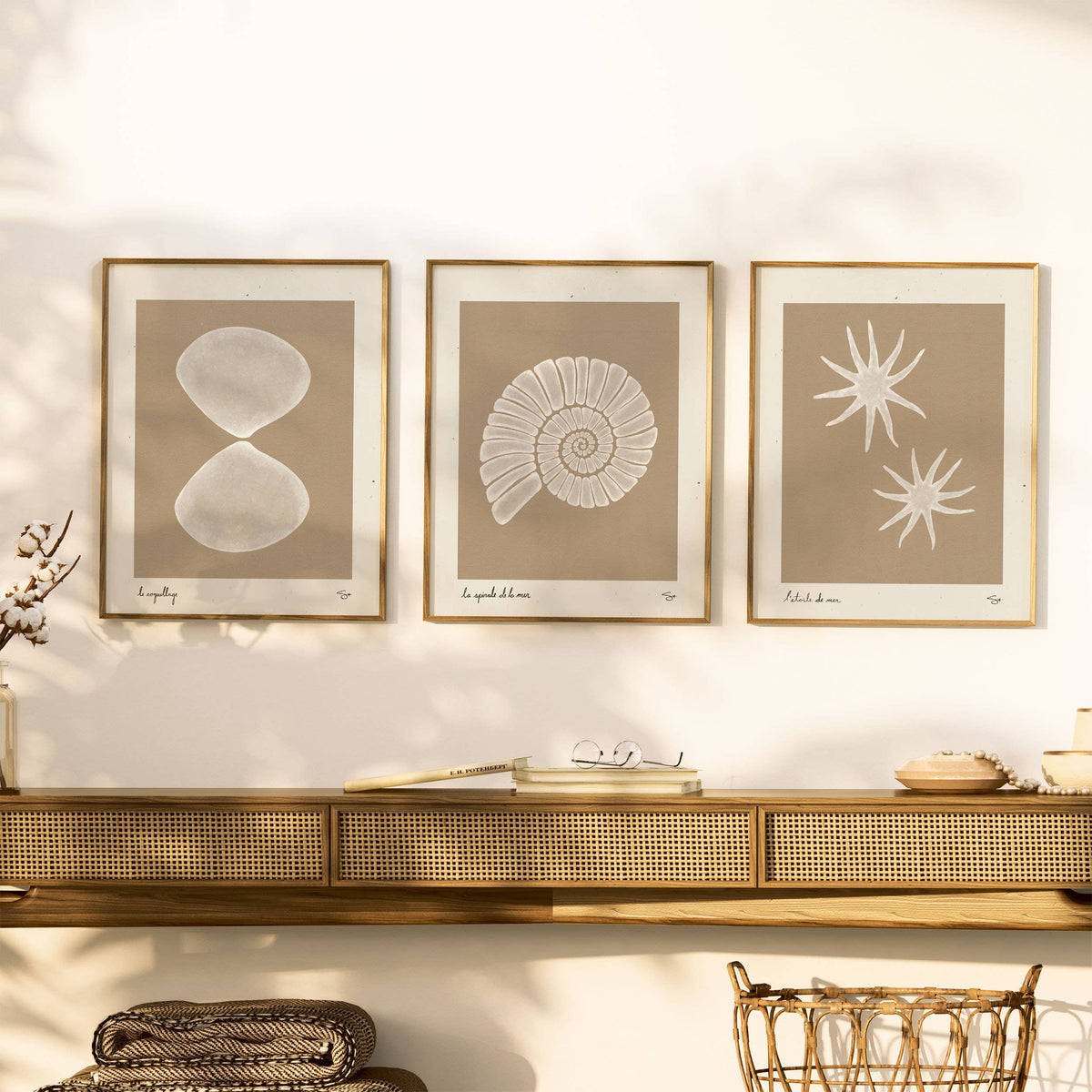 Sea Spiral | Seashell Art Print
