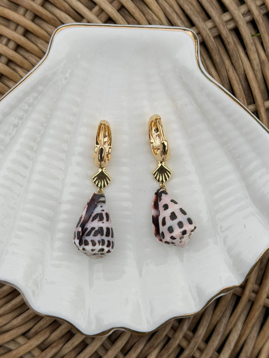 Gold Shell Hebrew Cone Earrings | Hawaiian Surf Jewelry