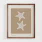 Sea Star 2 | Seashell Art Print